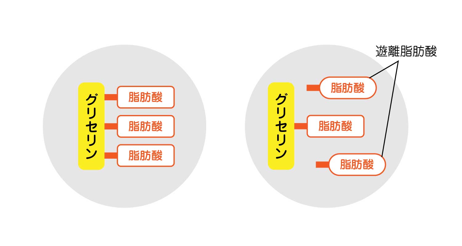 遊離脂肪酸